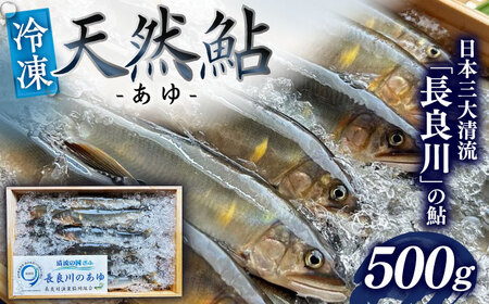 [世界農業遺産]清流長良川 天然鮎(冷凍) 500g 8月?9月申込 産地直送 新鮮 あゆ 岐阜市/SONAMU [ANEX001]