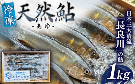 yE_ƈYzǐ VR(Ⓚ) 1kg 8`9\ Yn VN  򕌎s/SONAMU [ANEX003]