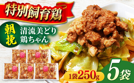 鶏肉 朝挽き 清流美どり 鶏ちゃん 250g×5P [ANDL006] 鶏肉