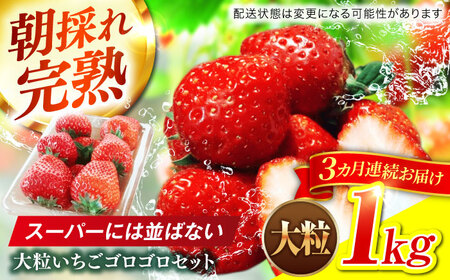 ������ �y3�����ցz �嗱 ������ [ANFX004] ������