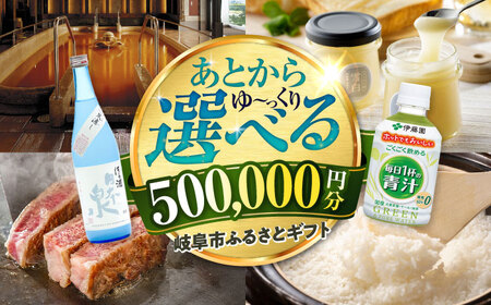 [あとから選べる] 岐阜県岐阜市ふるさとギフト 寄附金額50万円分 飛騨牛 トイレットペーパー 日本酒 スイーツ コーヒー 岐阜市 / 岐阜市ふるさと納税[ANFT023]