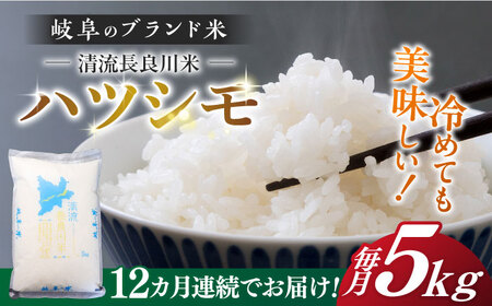 y12ցzyR7NYz ncV 5kg  100IɑI΂ꂽ ǐ ̐ň uǐāv  ߂Ă  򕌎s / XCX[ANCU007]