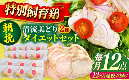 [12回定期便] 清流美どり タンパク質豊富なダイエットセット 2種 12点 [ANDL020]