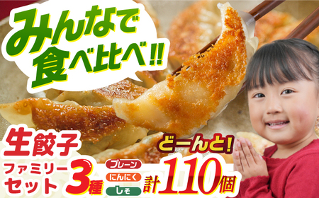 餃子 生餃子 ファミリーセット(110個入り) [ANHL006] 餃子