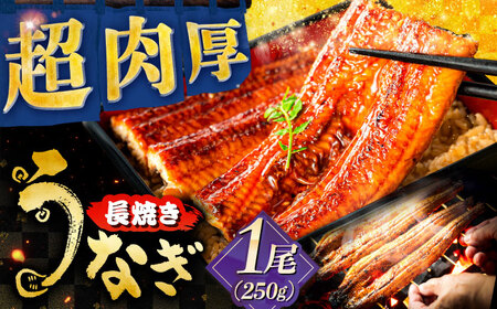 YȂ̒Ă 1 V   򕌎s / {iYĂȋg[ANHH001]