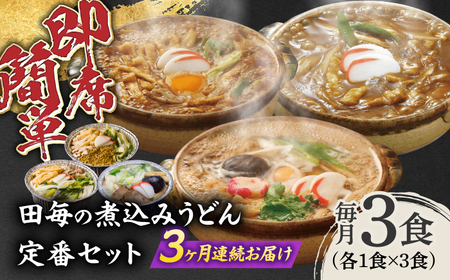 [3回定期便]岐阜の味 田毎の煮込みうどん定番セット 即席 カンタン 麺 岐阜市 / ラボレムス[ANFP010]