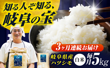 y3ցz򕌌YăncV(̓)5kg ncV   ā@򕌎s / t@[[ANHI003]