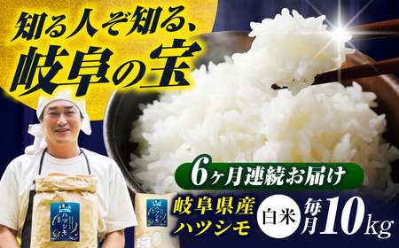 y6ցz򕌌YăncV(̓)10kg ncV    򕌎s / t@[[ANHI006]