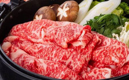 牛肉 飛騨牛 モモスライス すきやき用 500g [ANIX001] 牛肉
