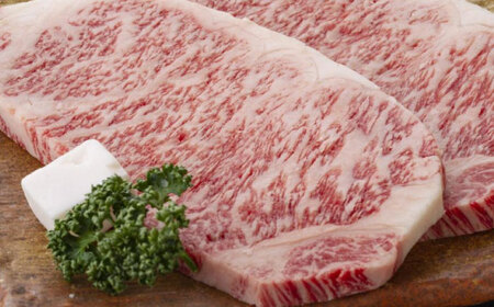 ステーキ サーロインステーキ 2枚 [ANIX003] ステーキ