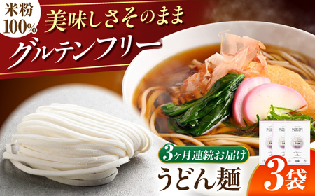 【3回定期便】 【グルテンフリー】 力強いコシを楽しむ！ 米粉うどん うどん グルテンフリー 米粉 岐阜市 / 小林生麺[ANGM022]