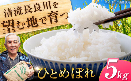 慣行米 ひとめぼれ 5kg お米 白米 精米 岐阜市 / 羽賀政夫[ANDZ003]