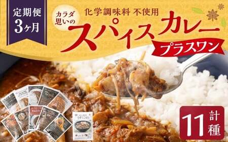 カラダ想いのスパイスカレープラスワン(カレー4種×2回、2種ときのこご飯の素1種2袋×1回)毎月[3回定期便] きのポックルカレー まぜてご飯 豚バラジンジャーカリー きのこスパイス 薬膳ビーフカリー スープカレーベース ベジタブル バターチキンカレー 薬膳ポークカリー 煮込み牛すじ 舞茸とホロホロチキン薬膳カレー カレーライス 3回 定期便