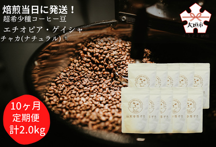 [定期便(10か月)]焙煎当日に発送!超希少種コーヒー豆『エチオピア ゲイシャ』ゲシャビレッジ農園 ナチュラル
