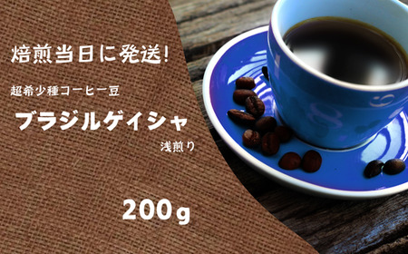 焙煎当日に発送！超希少種コーヒー豆 ブラジルゲイシャ 浅煎り 200g