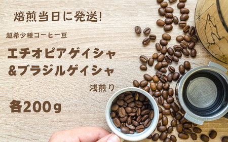 焙煎当日に発送！超希少種コーヒー豆 エチオピアゲイシャ&ブラジルゲイシャ 浅煎り 200g×2袋