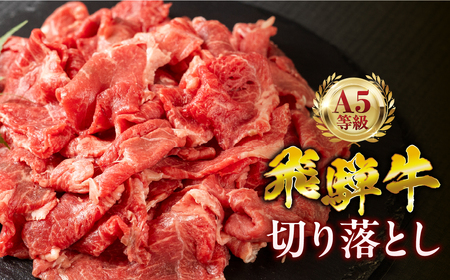 ˋ A5 1050g Ɨǂ ؂藎Ƃ  a