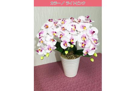 光触媒造花 胡蝶蘭 3本立