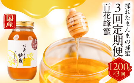 [国産蜂蜜]百花 1200g×3回定期便 蜂蜜