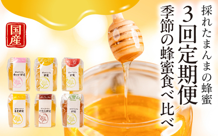 [国産蜂蜜] 季節の蜂蜜食べ比べ定期便 3回 (各90g×2回)