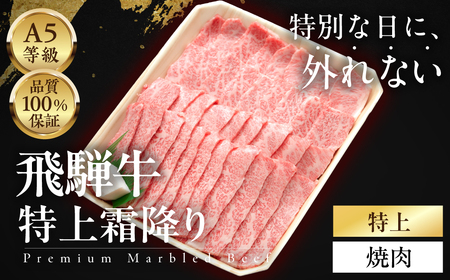 ≪品質100%保証≫ A5等級 飛騨牛 特上 霜降り焼肉 300g