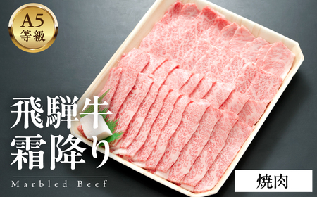 A5等級飛騨牛 霜降り焼肉 300g