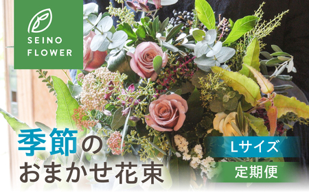 季節のお花 西濃フラワー 定期便 6回