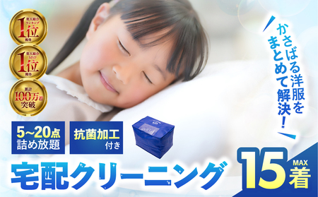 衣類 クリーニング 15点|クリーニング