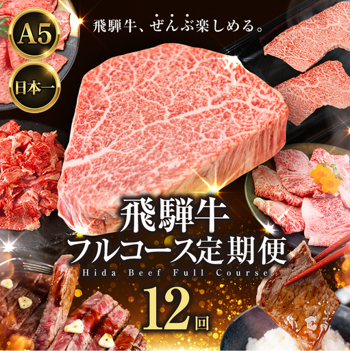 飛騨牛 フルコース定期便 定期便 12ヶ月｜定期便
