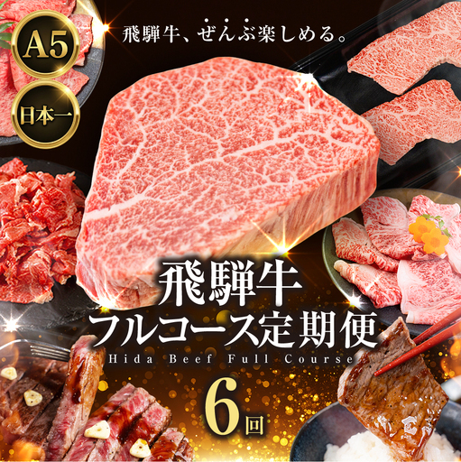 飛騨牛 フルコース定期便 定期便 6ヶ月|定期便