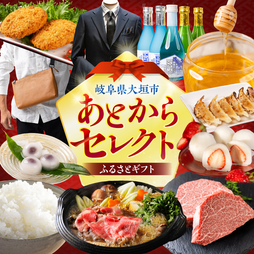 あとからセレクト [岐阜県大垣市] 5,000円 飛騨牛 カタログ 牛肉 定期便 あとから選べる
