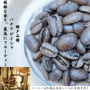 コーヒー豆 そらの返礼品 検索結果 | ふるさと納税サイト「ふるなび」