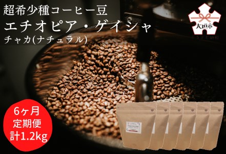 【定期便6か月】超希少種コーヒー豆『エチオピア　ゲイシャ』ゲシャビレッジ農園　チャカ（ナチュラル） 