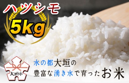 ハツシモ５kg　～水の都大垣の豊富な湧き水で育ったお米 ～