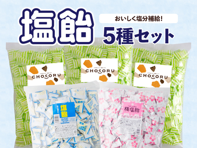 【夏季限定】塩飴5種セット（約1150粒）