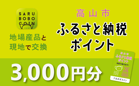 高山市ふるさと納税ポイント 3,000pt【飛騨信用組合 SB002】