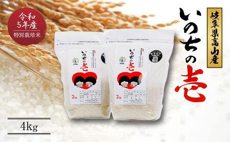 令和5年産 岐阜県高山産[いのちの壱]4kg特別栽培米 のし対応可 お米 精米 ご飯 ごはん 大粒 クオリティ飛騨高山