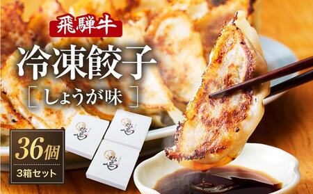 飛騨牛冷凍餃子 3箱セット(しょうが味)| 餃子の合計はたっぷり36個! おいしく焼ける調理説明書付き 餃子 飛騨牛 おいしい 簡単 人気 飛騨高山 餃子工房らん