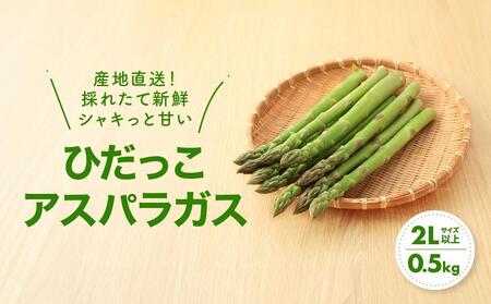 [2025年発送 先行受付]2Lサイズ以上 ひだっこアスパラガス 0.5kg アスパラ 野菜 やさい 産地直送 春 夏 採れたて グリーンアスパラガス 期間限定 ひだっこの里 CM003VC01