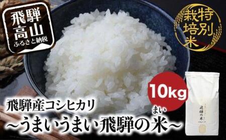 [令和6年産 新米] 飛騨産コシヒカリ白米 「うまいうまい飛騨の米」 白米 10kg | こしひかり 飛騨産 精米 お米 特別栽培米 飛騨高山 ファームジネンいいむら