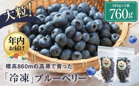 y12zzt@[̖knCubVu[x[uⓀʎv380g×2 | N Y t[c u[x[   Ⓚ ʕ Ⓚt[c ˍR t@[ LJ004VC12