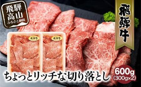 飛騨牛 切り落とし 300g×2パックセット | みすじ ウデ すき焼き しゃぶしゃぶ 希少部位 600g 和牛 国産牛 冷凍 飛騨高山 飛騨牛のこもり FC005VC13