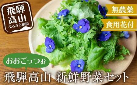 飛騨高山野菜『おおごっつぉ』詰合せ 葉物野菜 葉物 ミックスリーフ わさびな フラワーサラダ 無農薬野菜 無農薬 HS001VC13