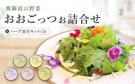 飛騨高山野菜『おおごっつぉ』詰合せ & 缶で育てるハーブ栽培キット(ミニサイズ)| 野菜 グリーンリーフ エディブルフラワー 家庭菜園 リーフ 葉野菜 ハーブ 飛騨高山 株式会社FDS