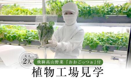 飛騨高山野菜『おおごっつぉ』付植物工場見学(大人2人)| 工場見学 体験学習 長期連休 グリーンリーフ 園芸 チケット 旅行 飛騨高山 株式会社FDS