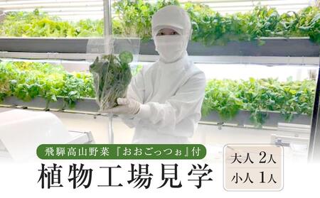 飛騨高山野菜『おおごっつぉ』付植物工場見学(大人2人、小人1人)| 工場見学 体験学習 長期連休 グリーンリーフ 園芸 チケット 旅行 飛騨高山 株式会社FDS