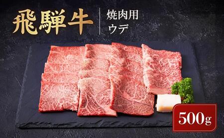 飛騨牛 焼肉用 ウデ 500g | 黒毛和牛 ブランド和牛 BBQ 肉料理 旨味 高山米穀協業組合 FA007VC13