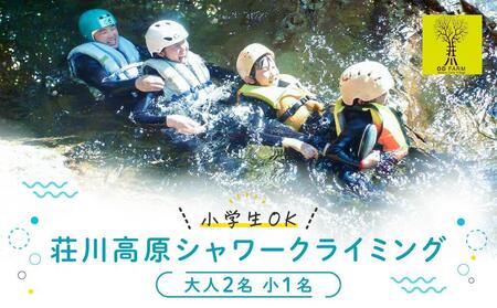 OD-FARMywOKz썂t@~[V[NC~O l2Al1  |   V ̌  vo q eq Ƒ ˍR ()AEghAT|[gVXe  AB002