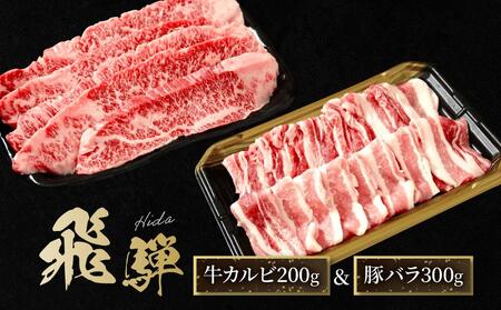 飛騨牛 カルビ200g & 飛騨豚 バラ300g | 食べ比べ セット 焼肉 国産牛 豚肉 飛騨高山 人気 おいしい ファミリーストアさとう