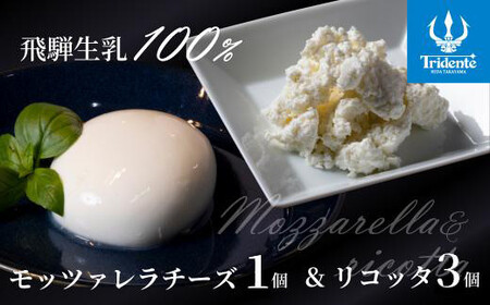 飛騨生乳100％ モッツァレラ1個 & リコッタ3個セット | セット チーズ 冷蔵 濃厚 低温殺菌 乳製品 おいしい 人気 チーズ工房トリデンテ LF012